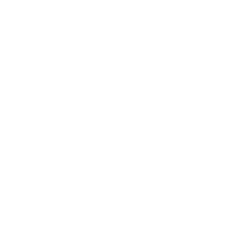 wifi-access-icon